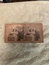 Stereoview Card - Girl in Lily Flowers - 1897 picture