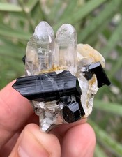 31 Gm Natural Black Tourmaline Bunch On Quartz Crystal Specimen From Skardu Paki picture