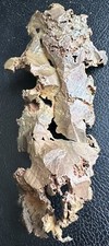 12cm Nice Hollow Copper Crystal Group - Wolverine Mine, Michigan  picture