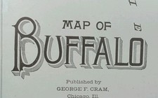 Vintage 1905 BUFFALO NY Map 14