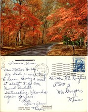 Cambridge MN Autumn Leaves Postcard 62454 picture