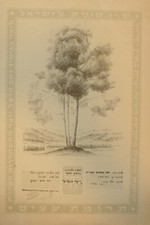 Pol National Fund Jewish 1949 Israel President Weizmann Forest Certificate Herzl picture