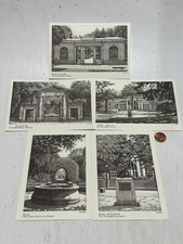 Lot Of 5 - Real Jardín Botánico de Madrid - C. Gallego Black & White Postcards picture