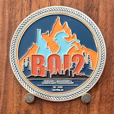 BOI2 Nampa Idaho Horse Mountain Northwest Loss Prevention Challenge Coin  1#38 picture