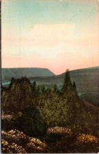 Pocono Manor Inn Top of the Poconos Pennsylvania 1944 Vintage Postcard TPX16 picture