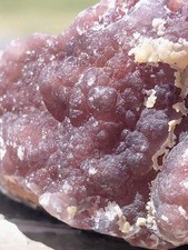 Botryoidal Grape Fluorite Red Purple +Druzy On Matrix Very Rare Fremont Colorado picture