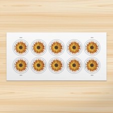 Christmas Card african daisy international 10 pcs - New picture