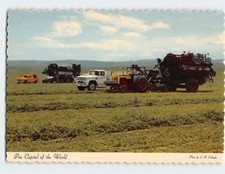 Postcard Pea Capital of the World, Milton-Freewater, Oregon picture
