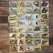 1909-10 HASSAN ANIMAL SERIES (T29) LOT OF 39 VINTAGE TRADING CARDS picture