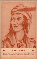 1941 TECUMSEH Shawnee Chief Famous American Indian Series Postcard No. 10 picture