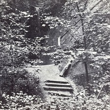Shanklin Chine Isle of Wight Stereoview UK 1872 Waterfall Steps Woods picture