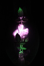 1960'S VINTAGE AEROLUX PURPLE & GREEN FLOWERS & LEAVES ARGON LIGHT BULB picture