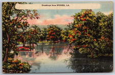 LA, Nunez, Greetings, Nature Scene, Trees, Water, Vintage Postcard picture