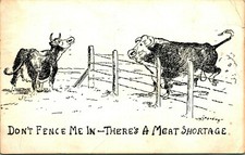 Wm William Standing Comic Cows There's A Meat Shortage 1951 Chrome Postcard picture