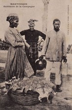 * MARTINIQUE - Habitants de la Campagne picture