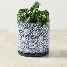 Morris & Co. Ceramic Planters Collection|43973 picture