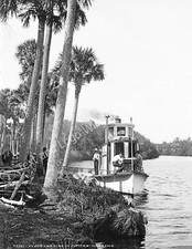 1880-1897 Wood Landing in Jupiter Narrows, Florida Old Photo 8.5