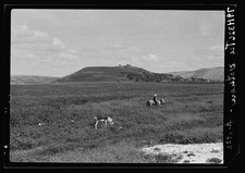 Photo:Dothan Alabama 1900s Ruins Northern Views Horse Riders Hillside picture
