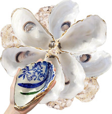30PCS Concave Large Oyster Shells for Crafts 5-6Inch, Oysters Shell picture