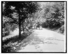 Photo:Barrett Co 1920s Vintage Auto on Tree-Lined Road Riverside Drive picture