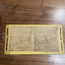 American Views Stereoview Steroscopic photo Erie RR picture