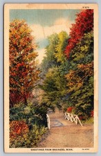 Greetings from Brainerd, Minnesota. Vintage Postcard picture