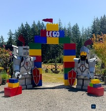 Lego Character Birthday Prop Package picture