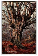 Burnham Beeches Oilette Postcard - Raphael Tuck & Sons Old Trees Woodland picture