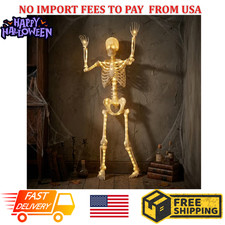 5ft Poseable LED Illuminated Skeleton, Halloween Decoration, by Way to Celebrate picture