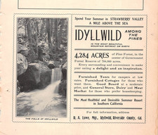 1895 1901 1902 1904 IDYLLWILD CA ads Strawberry Valley Mt Tauquitz RARE LOT picture