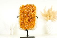 Exceptional Golden Yellow Citrine Cluster with Sparkling Druzy picture