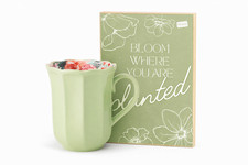 🌿 Bloom Where You Are Planted Set – 15 oz Green Mug + 7.25” x 5” Wood Sign picture