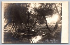 Alden NY Postcard RPPC Elevenmile Creek or Ellicott Creek c 1908 picture