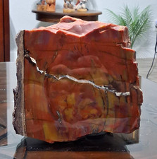 Beautiful 8 Pounds Of Polished Arizona Rainbow Petrified Wood Piece. Nice Size picture