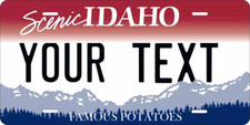 State License Plate Personalized With Your Text Car Novelty Plate Custom 200+ picture