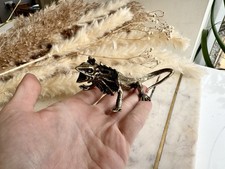 Fine lifelike brass frilled dragon miniature, Solid Brass lizard sculpture picture