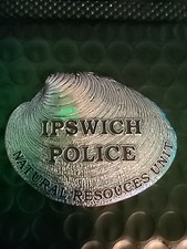 Ipswich Massachussets ERROR Challange coin - rare spelling error batch picture
