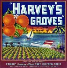 Harvey's Groves Orange Fruit Crate Label Art Print   Indian River Cocoa Fl picture