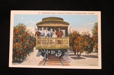 VTG POSTCARD MIDWINTER SCENE TRAVELING THROUGH AN ORANGE GROVE FLORIDA BY TRAIN picture