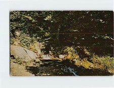 Postcard Big Spring Smuggler's Notch Cambridge Vermont USA North America picture
