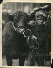 1925 Press Photo Georgie Tellier & steer he raised picture