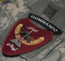 DAESH BASHER AFGHANISTAN NATIONAL ARMY ANA velkrö-burdock PATCH + COMMANDO TAB picture