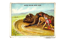 1910 T73 Buffalo Wallow-Indian Hiding #9, Indian Life in the 60's, Set Break, VG picture