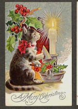 Cute Christmas Cat~Kitten  with Candle ~Vintage~Antique Xmas Postcard~s582 picture