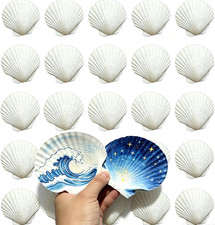 30 PCS Natural Sea Shells for Crafts 2-3 Inches White Bulk Scallop picture