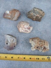 Missouri Ozark Chert Jasper Chalcedony Rough 5 Pc Lapidary Rock Lot Natural picture