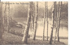 FREDERICKSBURG VA - Scene near the Dam early 1900s sepia mint picture