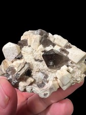 Smoky Quartz, Albite, Microcline and Mica, Moat Mountain, N. Conway, NH picture