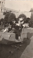 Antique Photo 1915 Panama California EXPO San Diego Wicker Electriquette Pigeons picture