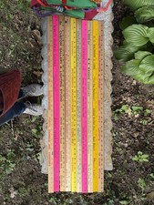 Sears, Roebuck and Co. Vintage Original Advertising Wooden Ruler Lot with a case picture